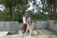 Cristina S.