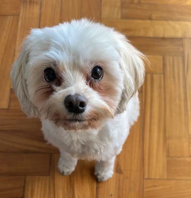 Keiko