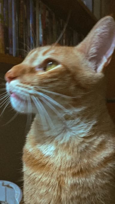 Benito