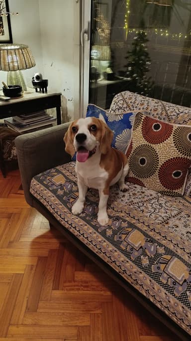 Foto de Valentina M.