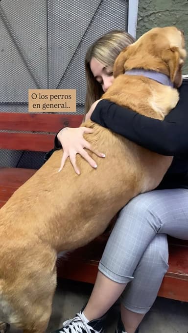 Foto de Belen R.