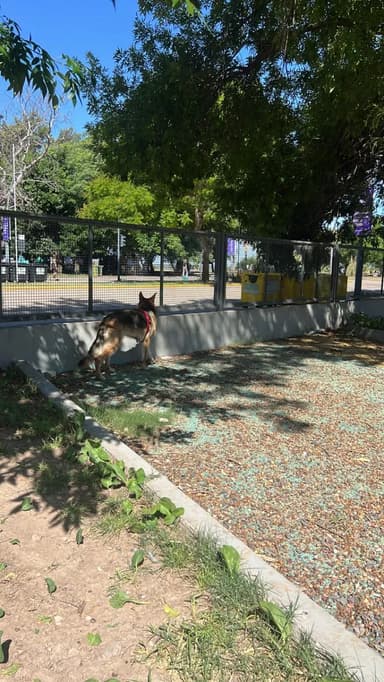 Foto de Franco N.