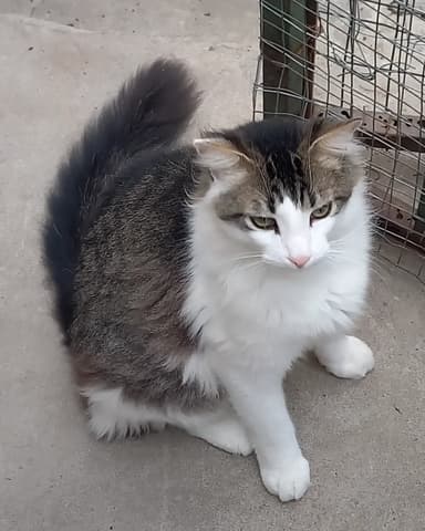 Foto de Ailín C.
