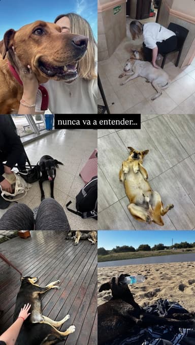 Foto de Belen R.