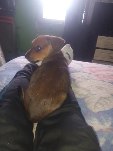 Flavio P. 3