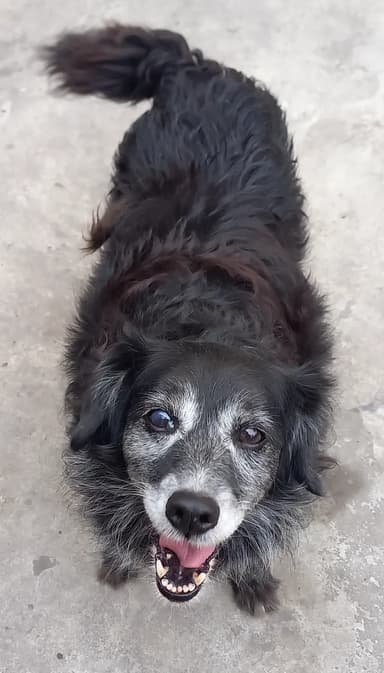 Foto de Ailín C.