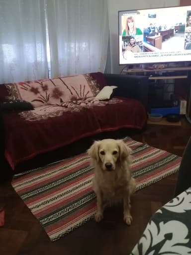 Foto de Rodriguez Sabbatino M.