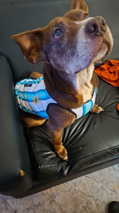 Foto de Elena M.