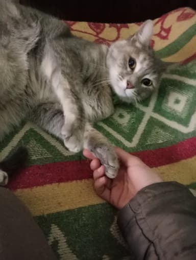 Foto de Florencia I.