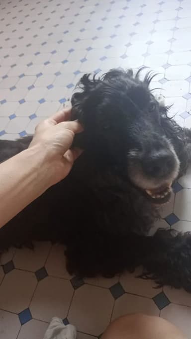 Foto de Florencia I.