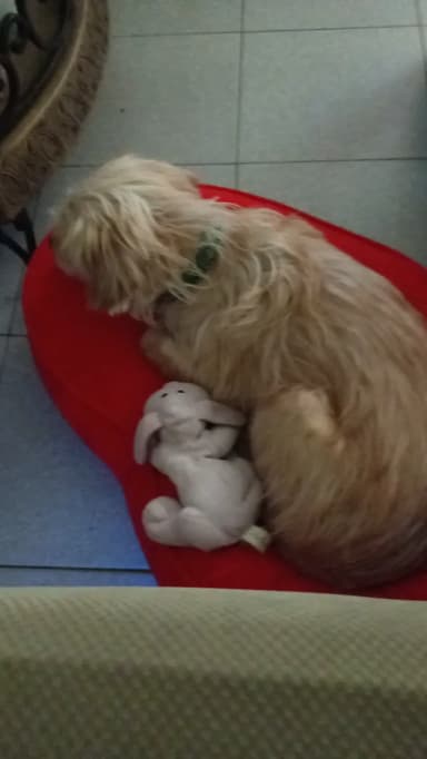 Foto de Lucila P.