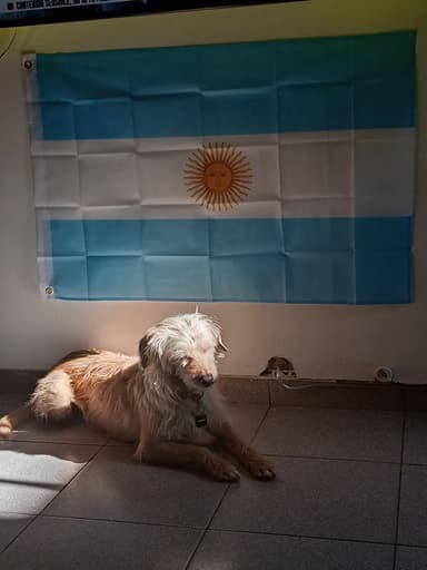 Foto de Lucila P.