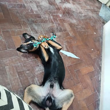 Foto de Lucila P.