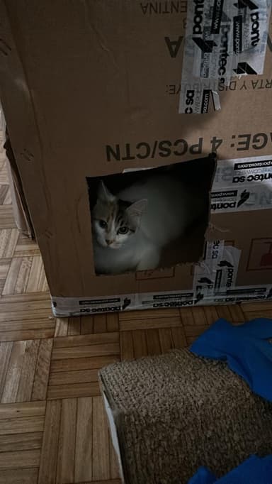 Foto de Sofia S.