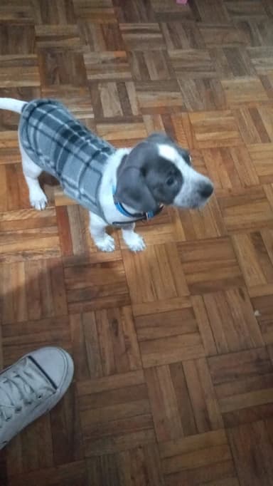 Foto de Florencia