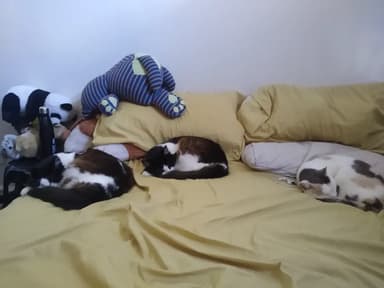 Foto de Pau B.