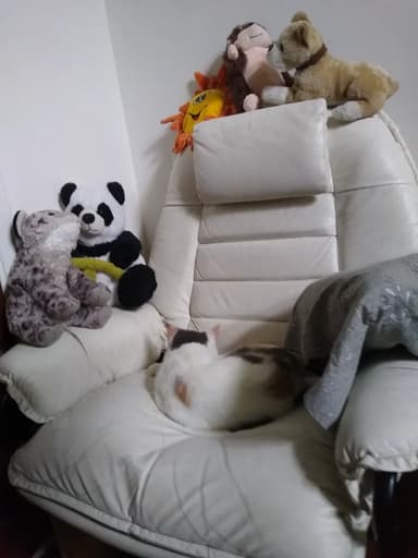 Foto de Pau B.