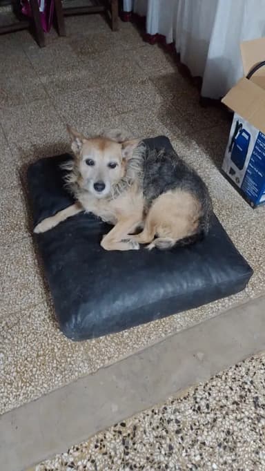 Foto de Rosana L.