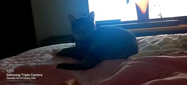 Foto de Mariana S.