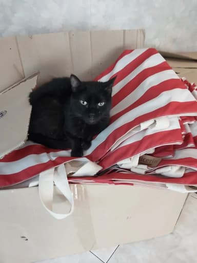 Foto de Melina P.
