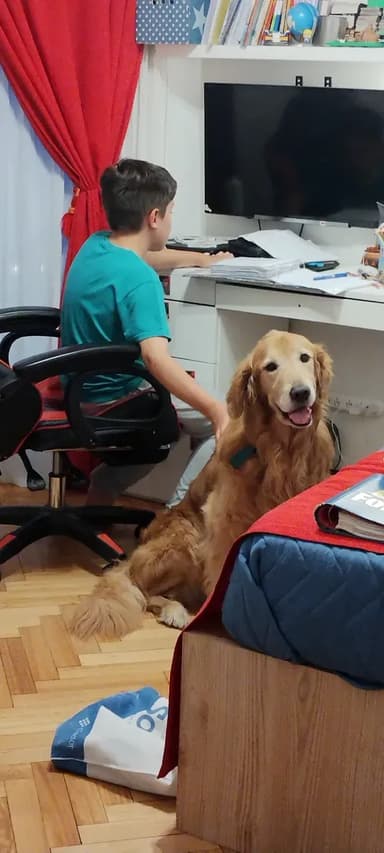 Foto de Verónica D.