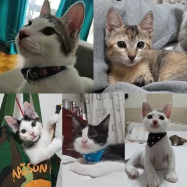 Foto de Pamela D.