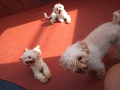 Foto de Ornella S.