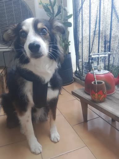 Foto de María Eugenia T.