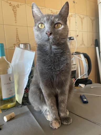 Foto de Agustina Jael V.
