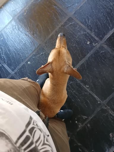 Foto de Karen M.