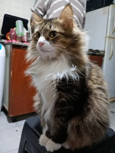 Foto de Karen M.