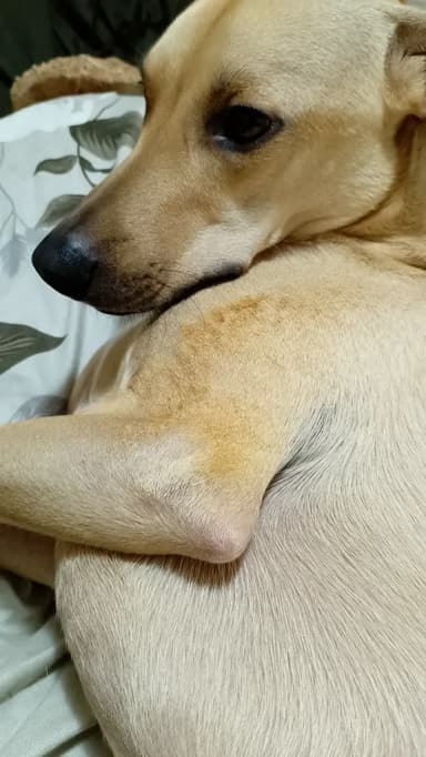 Foto de Karen M.
