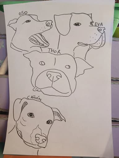 Foto de Karen M.