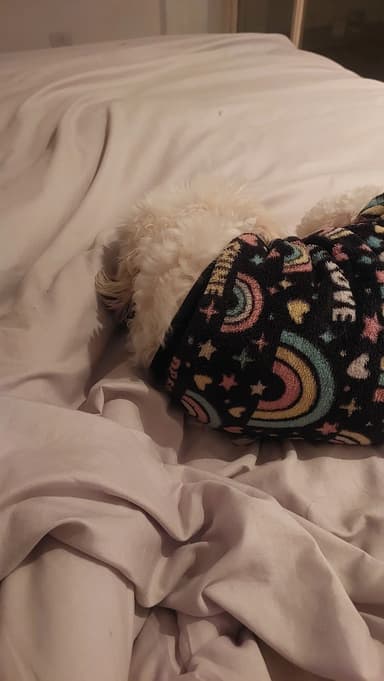 Foto de Valeria P.