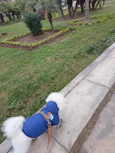 Foto de Valeria P.