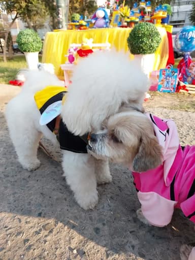 Foto de Valeria P.