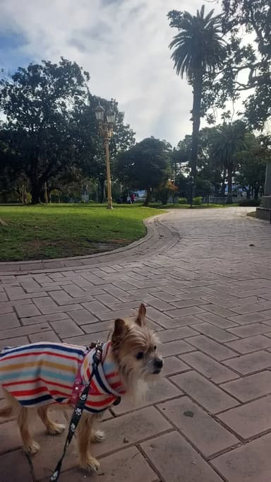 Foto de Valeria P.