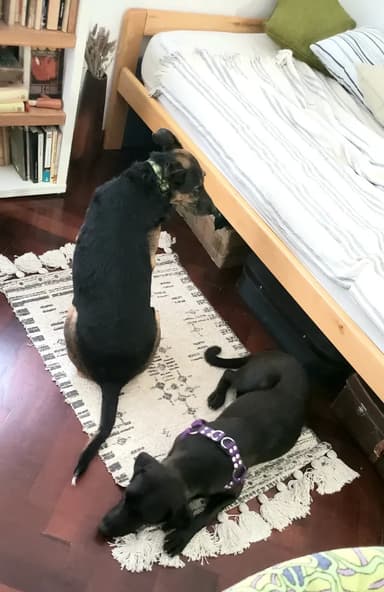 Foto de Monique C.