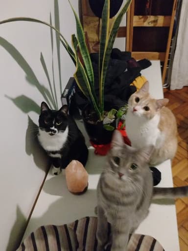 Foto de Daniela C.