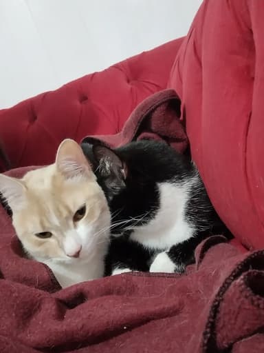 Foto de Daniela C.