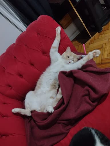 Foto de Daniela C.