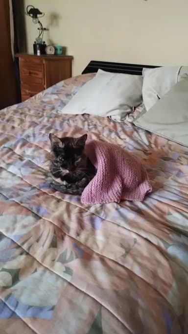 Foto de Sophia F.