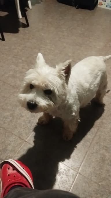 Foto de Sophia F.