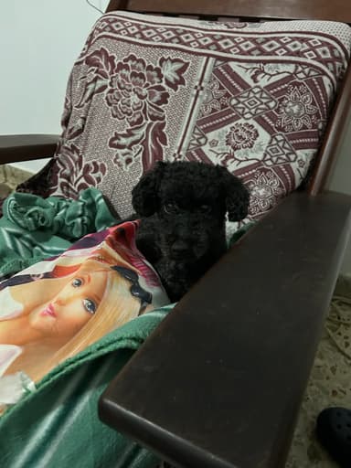 Foto de Camila P.