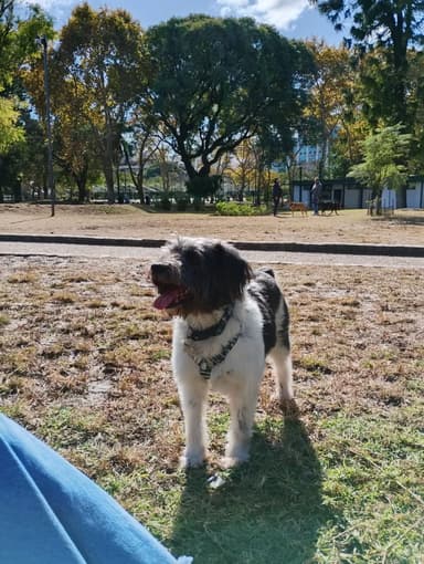 Foto de Camila M.