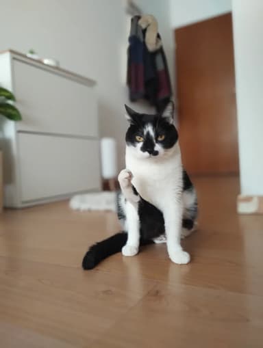 Foto de Melanie N.