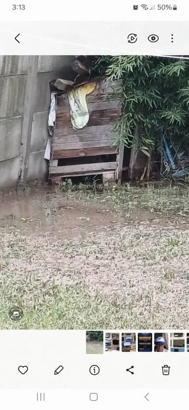 Foto de Rodrigo R.