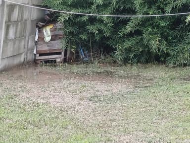 Foto de Rodrigo R.
