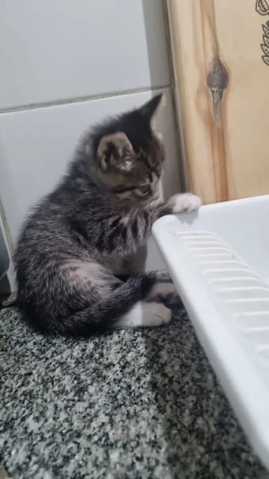Foto de Leonela D.