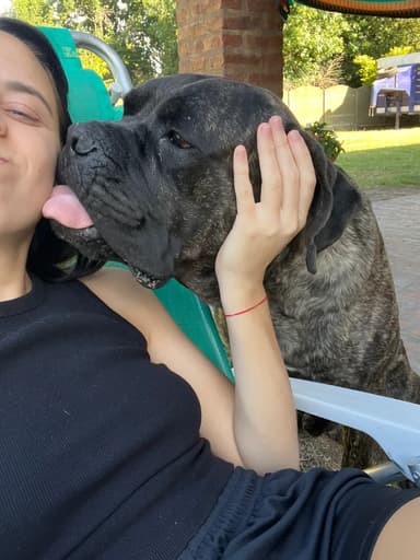 Foto de Clara B.